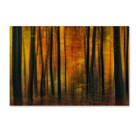 Jan Paul Kraaij 'Autumn Falls' Canvas Art,30x47